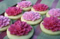 /album/fotogaleria/pink-carnation-flower-cookies-jpg/